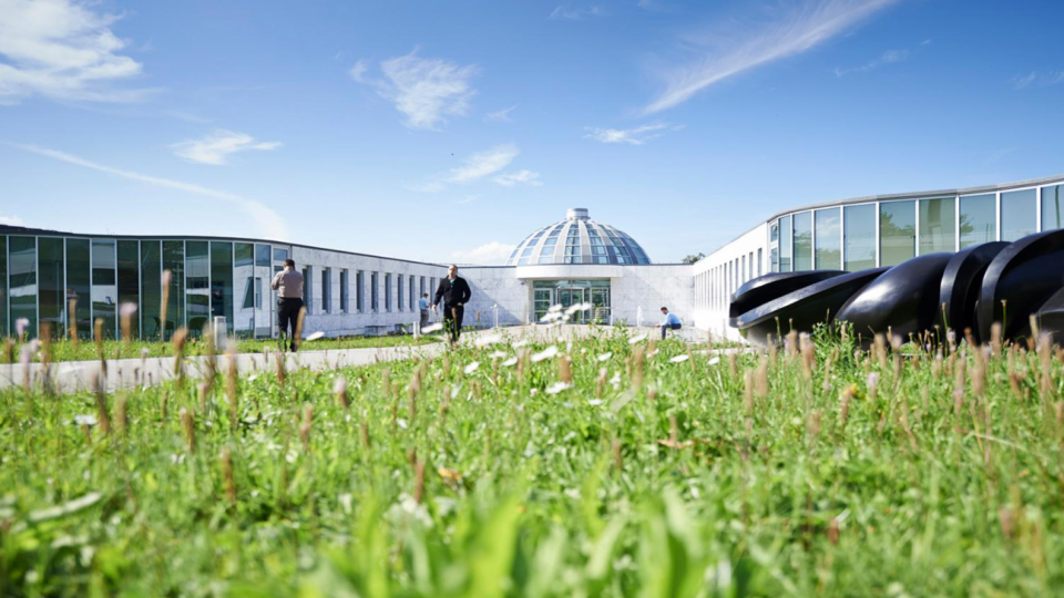 Université de Saint-Gall (HSG)